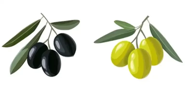 The Powerful Benefits of Olive Leaves: A Natural Health Booster